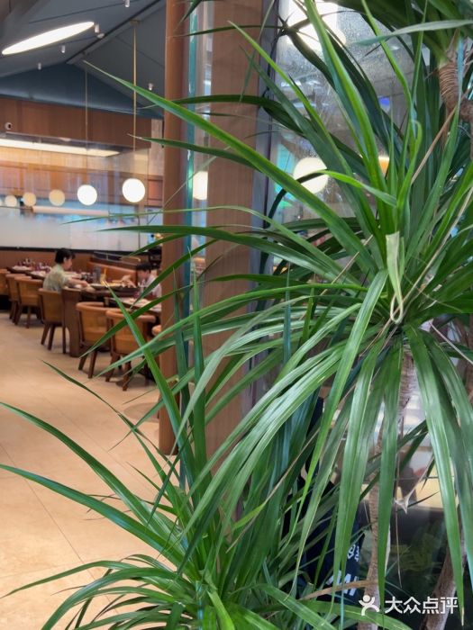 一沙一城·岩烤牛扒(深圳首店)图片