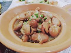 -骏莱海鲜鱼港(五角场店)