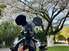 -阳澄湖费尔蒙酒店颐丰阁中餐厅(马鞍山西路店)