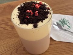 -树咖啡tree coffee