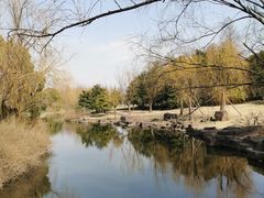 -上海滨江森林公园