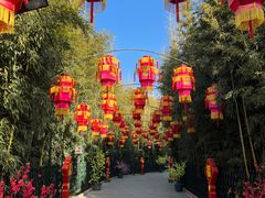 -红螺寺