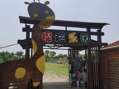 -上海长兴岛郊野公园