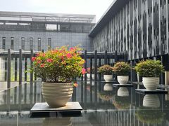-三亚太阳湾柏悦酒店