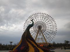 -七彩云南欢乐世界