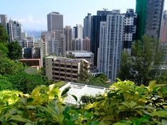 -香港大学