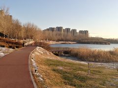 -丁香湖公园