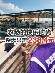 -小蜜蜂农场(凯德七宝购物广场店)