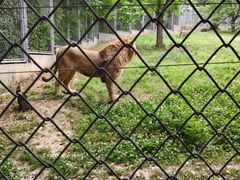 -西安秦岭野生动物园