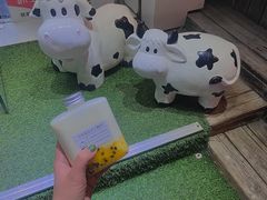 马苏里拉芝士酸奶-白色日记·手作酸奶(麦凯乐店)