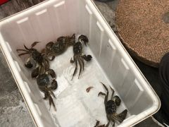 -水岸居湖景农家乐·阳澄湖大闸蟹