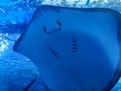 -多彩贵州城极地海洋世界