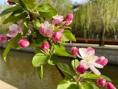 -海棠花溪(元大都城垣遗址公园)