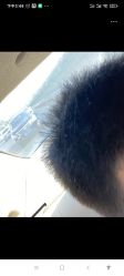 -AFA Hair studio·女士发型设计