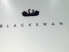 -BLACKSWAN黑天鹅(环球店)