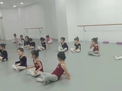 -西安小天鹅艺术团(金花路校区)