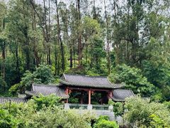 -广州神农草堂中医药博物馆