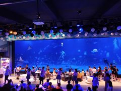 -烟台海昌鲸鲨海洋公园