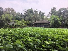 -房湖公园