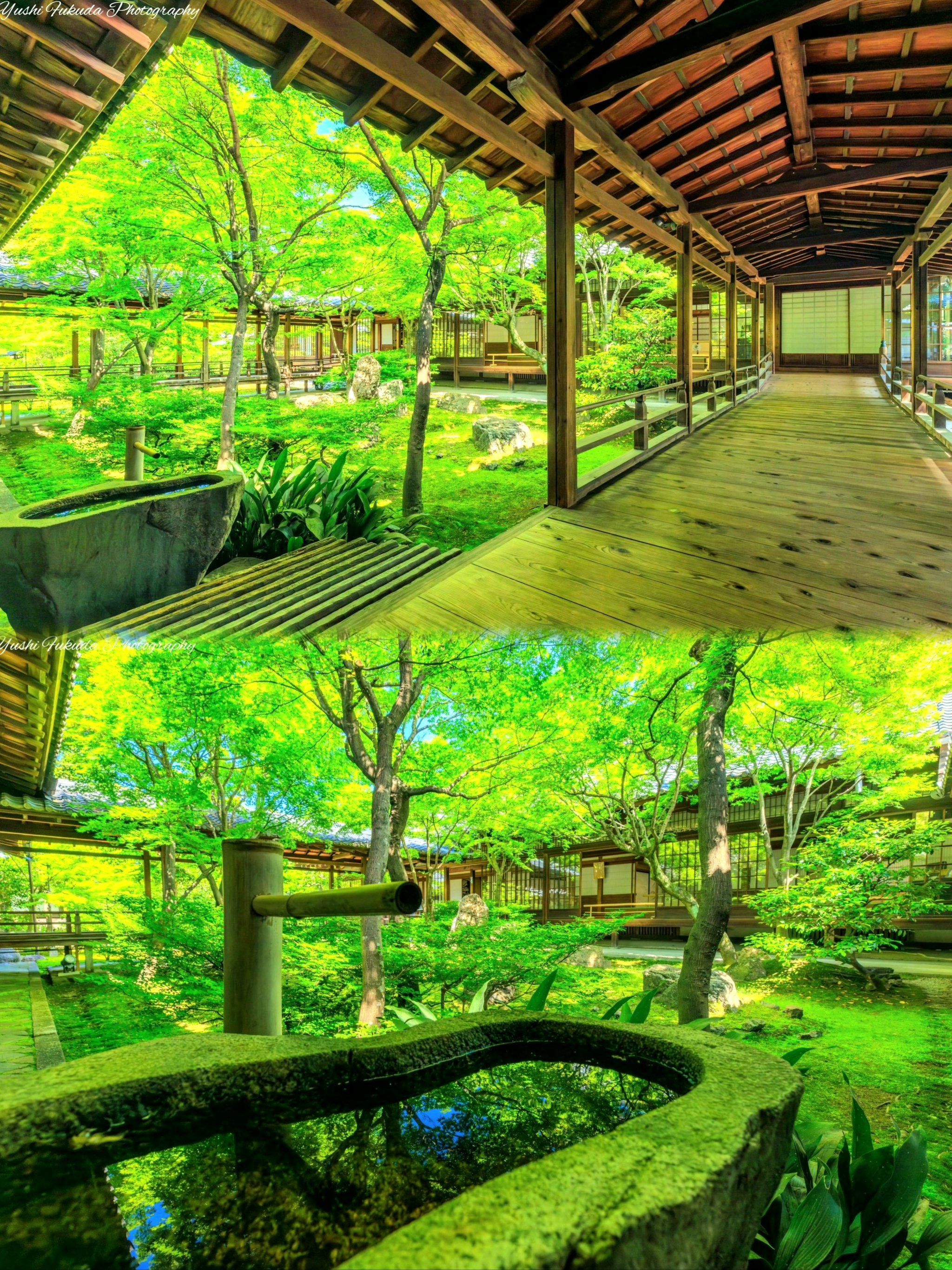自然的绿意和宁静的氛围,木质回廊连接着庭院中心的几座传统建筑,营造