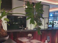 -风渡嘉荷西餐厅 Windy City(西三旗金隅店)