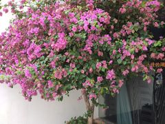 -湘阁里辣(沙井华润万家店)