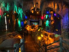 -乐山乌木文化博览苑