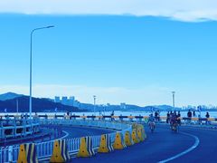 -野狸岛