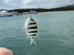-后海村