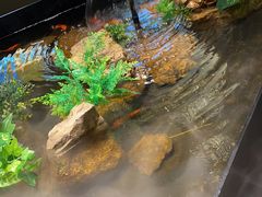 -映像威海·威海宴(威高广场店)