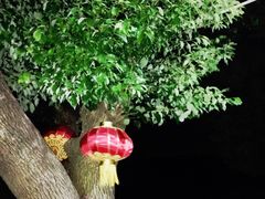 -乡乐园蟹庄·阳澄湖农家乐