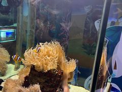 -太平洋海底世界