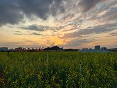 -光明小镇欢乐田园