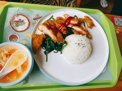 -上海野生动物园