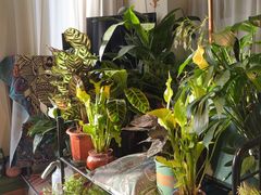 -Thai Basil罗勒叶泰式餐厅(时代天街店)