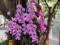 -北京植物园-展览温室