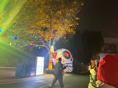 -青岛方特梦幻王国