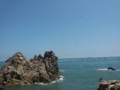 -海驴岛(荣成市)