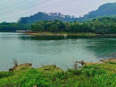 -水濂山森林公园