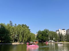 -团结湖公园