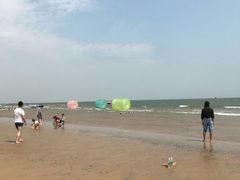 -日照海滨国家森林公园