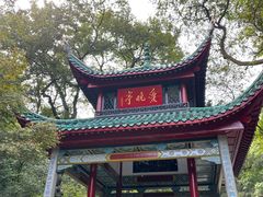 -岳麓山风景名胜区