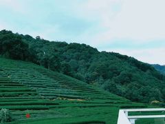 -云栖竹径