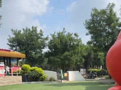 -爪吧宠物乐园 (温榆河示范区店)