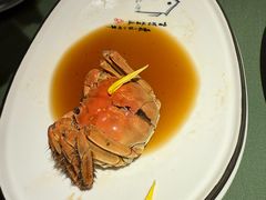-老吉堂上海本帮菜(望京万象汇店)