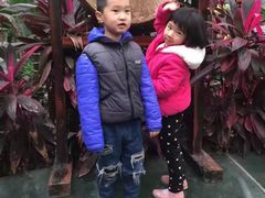 -呀路古热带植物园