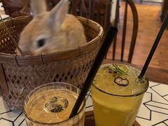 -懒鱼时光馆(沙坪坝店)
