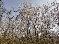 -天津东丽湖风景区