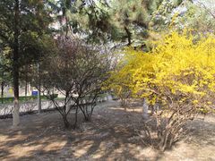 -辽宁大学(崇山校区)