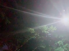 -颐和•海鲜砂锅粥•啫啫煲(奥林匹克广场店)